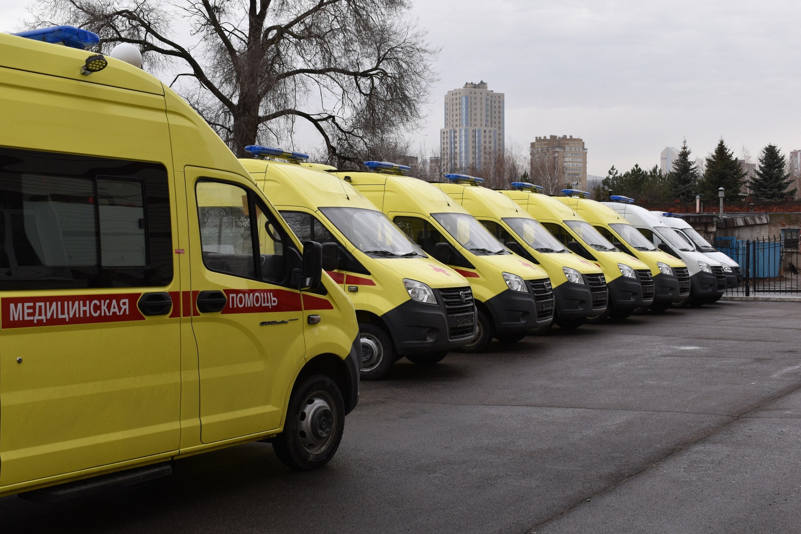 Курсы по первой медпомощи организуют в новых регионах РФ Курсы по первой медпомощи организуют в новых регионах РФ