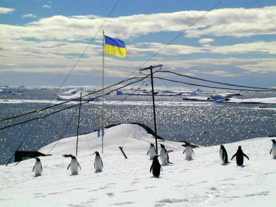Киев потратил 11,6 миллиона долларов на «изучение пингвинов» Киев потратил 11,6 миллиона долларов на «изучение пингвинов»