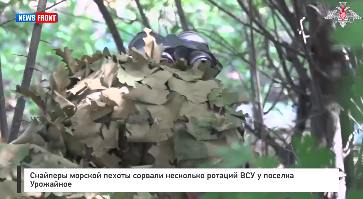 Снайперы морской пехоты сорвали несколько ротаций ВСУ у поселка Урожайное Снайперы морской пехоты сорвали несколько ротаций ВСУ у поселка Урожайное
