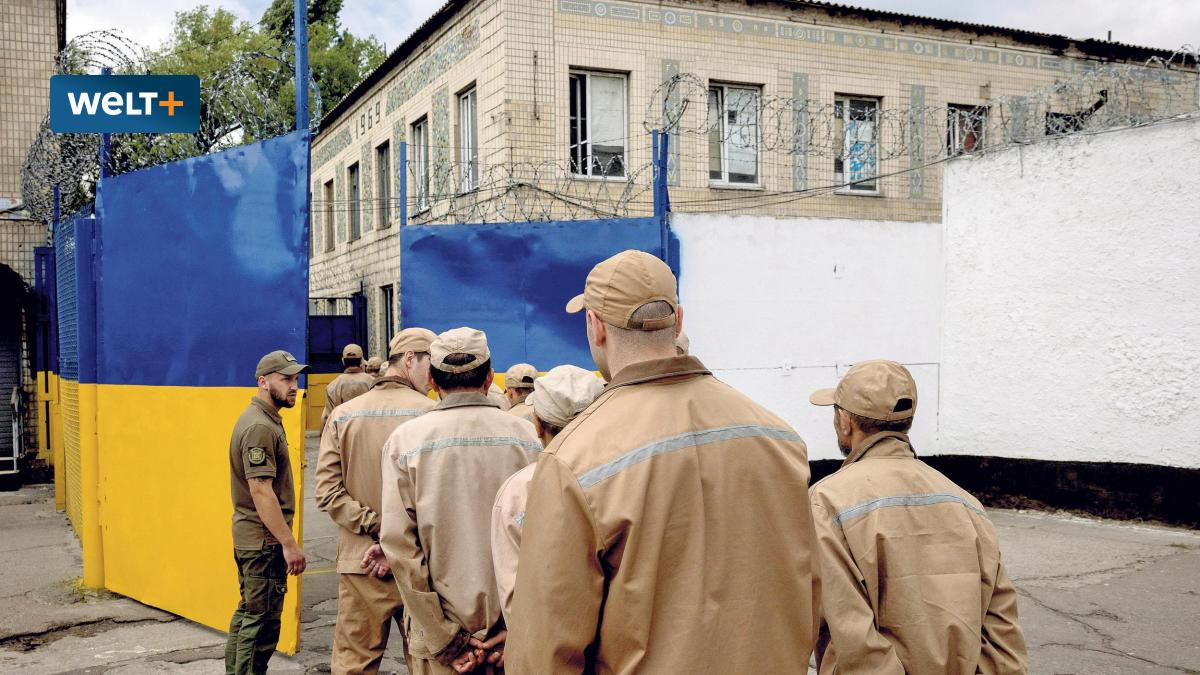 На Западе обеспокоены отставанием Киева по планам мобилизации На Западе обеспокоены отставанием Киева по планам мобилизации