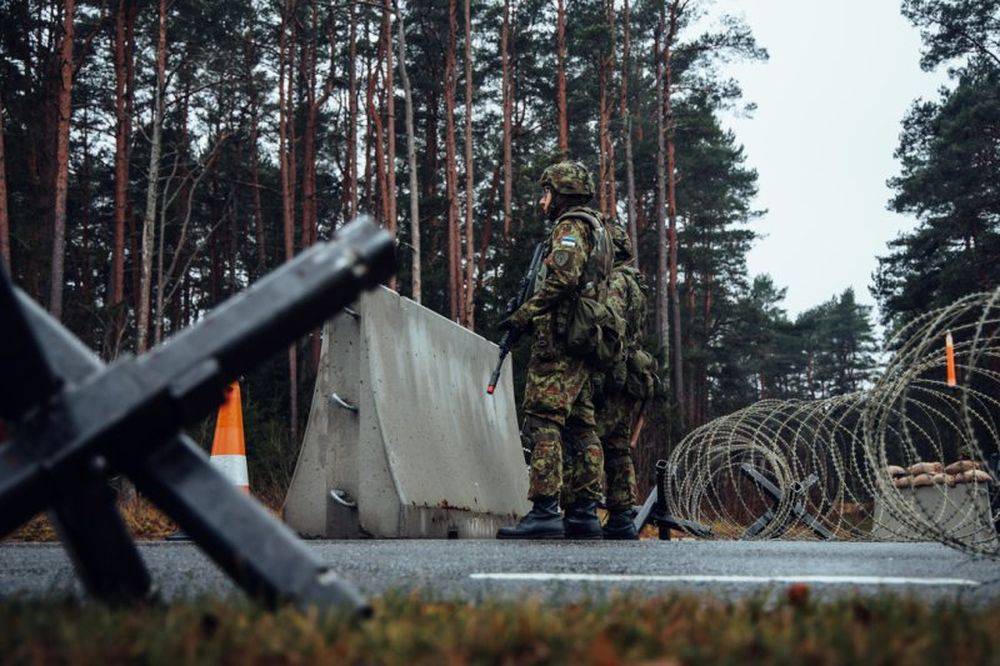 Эстония планирует построить 600 бункеров вдоль границы с Россией Эстония планирует построить 600 бункеров вдоль границы с Россией