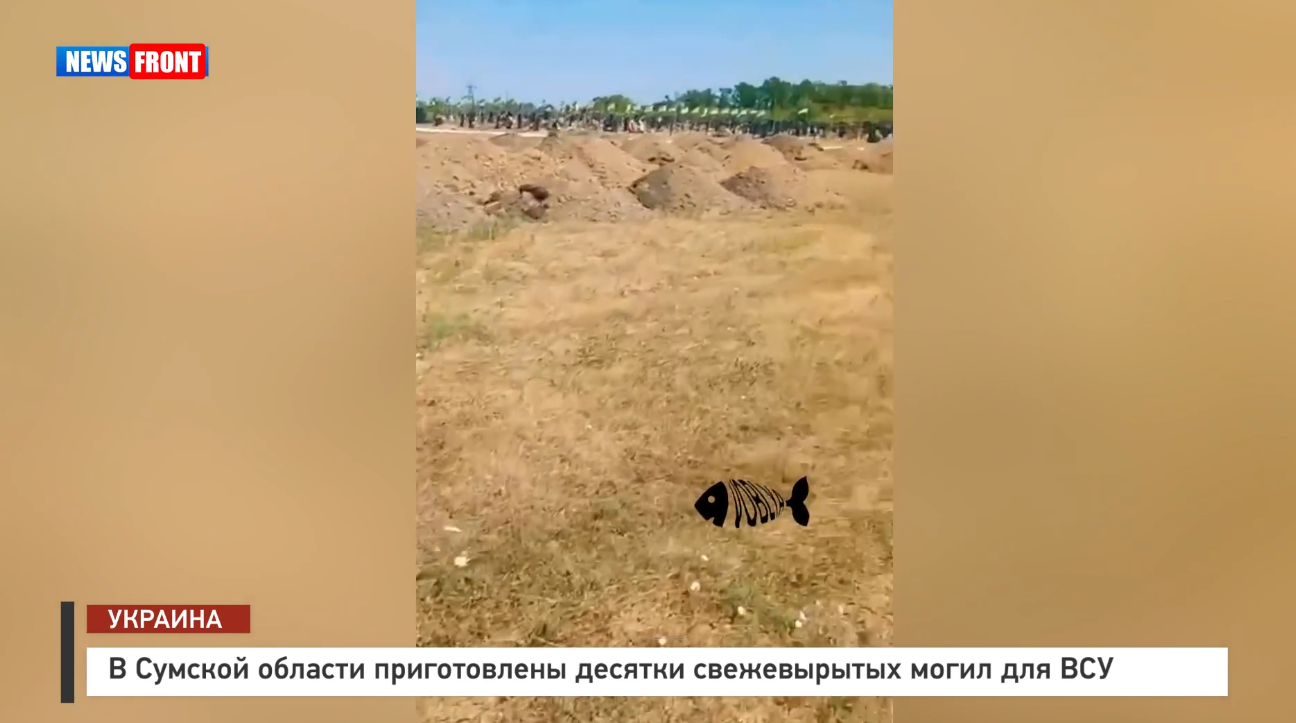 В Сумской области приготовлены десятки свежевырытых могил для ВСУ В Сумской области приготовлены десятки свежевырытых могил для ВСУ