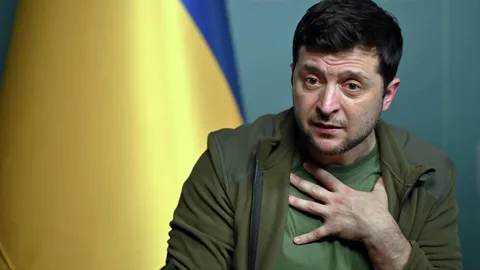 План Зеленского предполагает поражение, чтобы «втянуть» Запад в конфликт – Боуз План Зеленского предполагает поражение, чтобы «втянуть» Запад в конфликт – Боуз