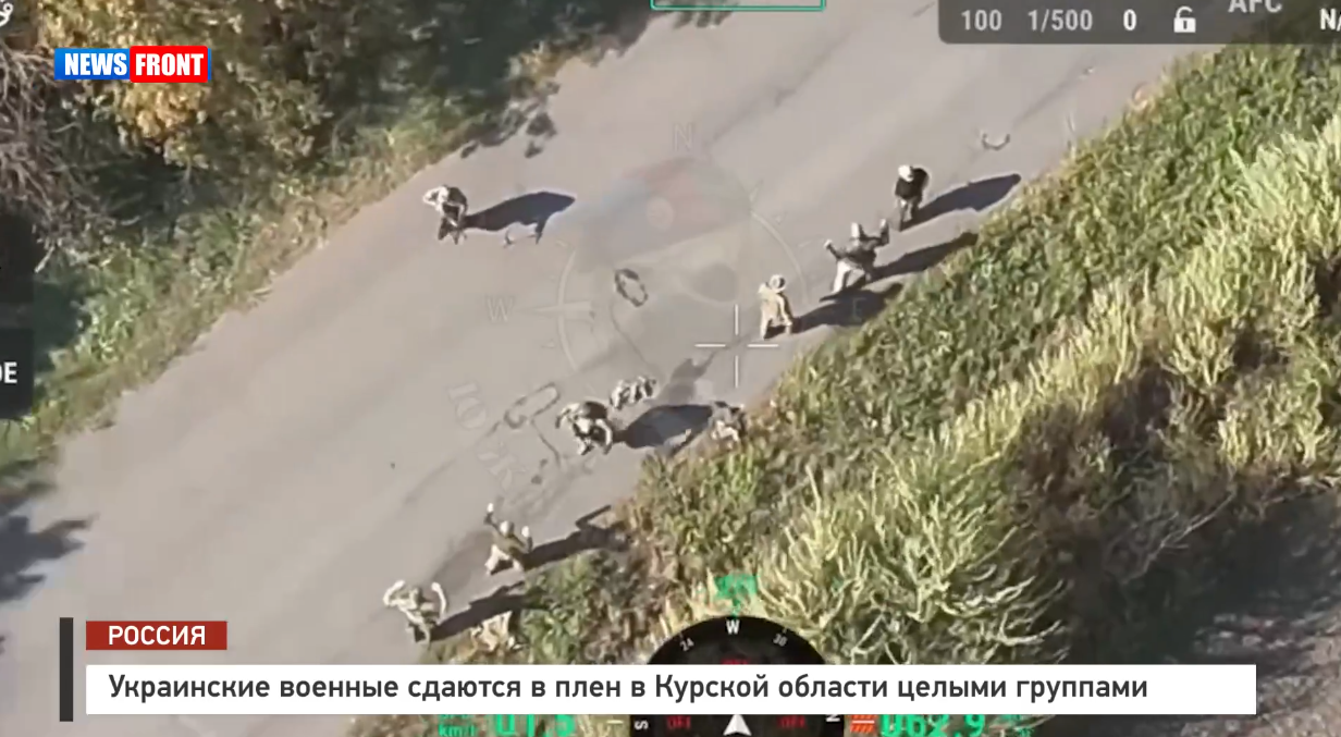 В Курской области военнослужащие ВСУ массово сдаются в плен В Курской области военнослужащие ВСУ массово сдаются в плен