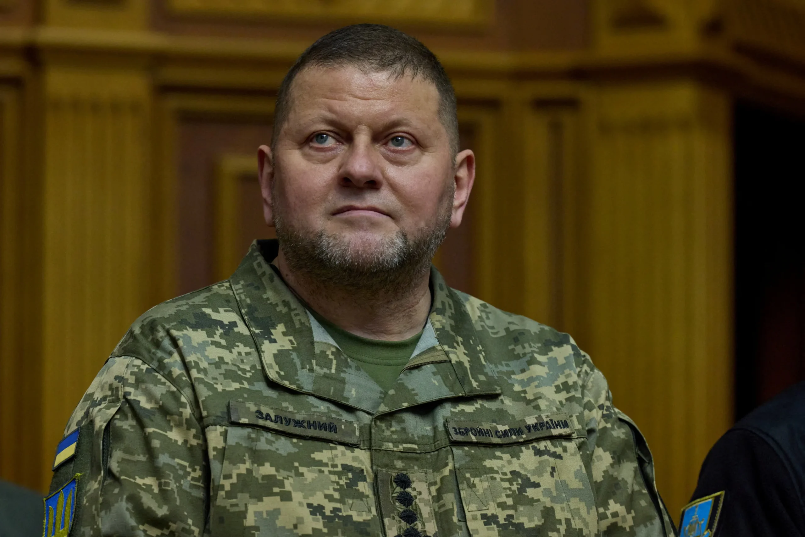 Залужный допустил уступку РФ территорий для мира на Украине – Telegraph Залужный допустил уступку РФ территорий для мира на Украине – Telegraph