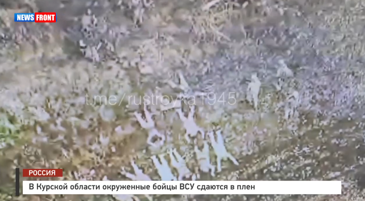 В Курской области окруженные бойцы ВСУ сдаются в плен В Курской области окруженные бойцы ВСУ сдаются в плен
