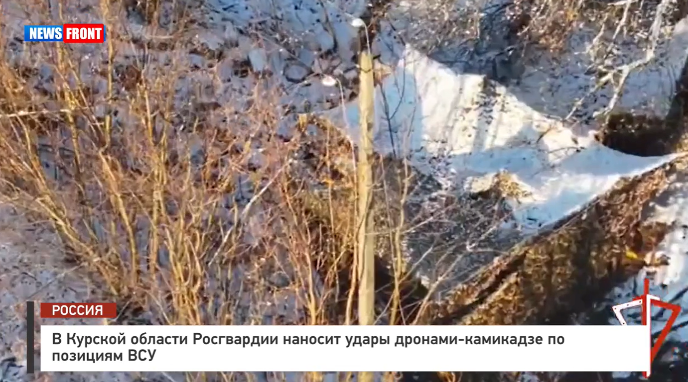 В Курской области Росгвардии наносит удары дронами-камикадзе по позициям ВСУ В Курской области Росгвардии наносит удары дронами-камикадзе по позициям ВСУ