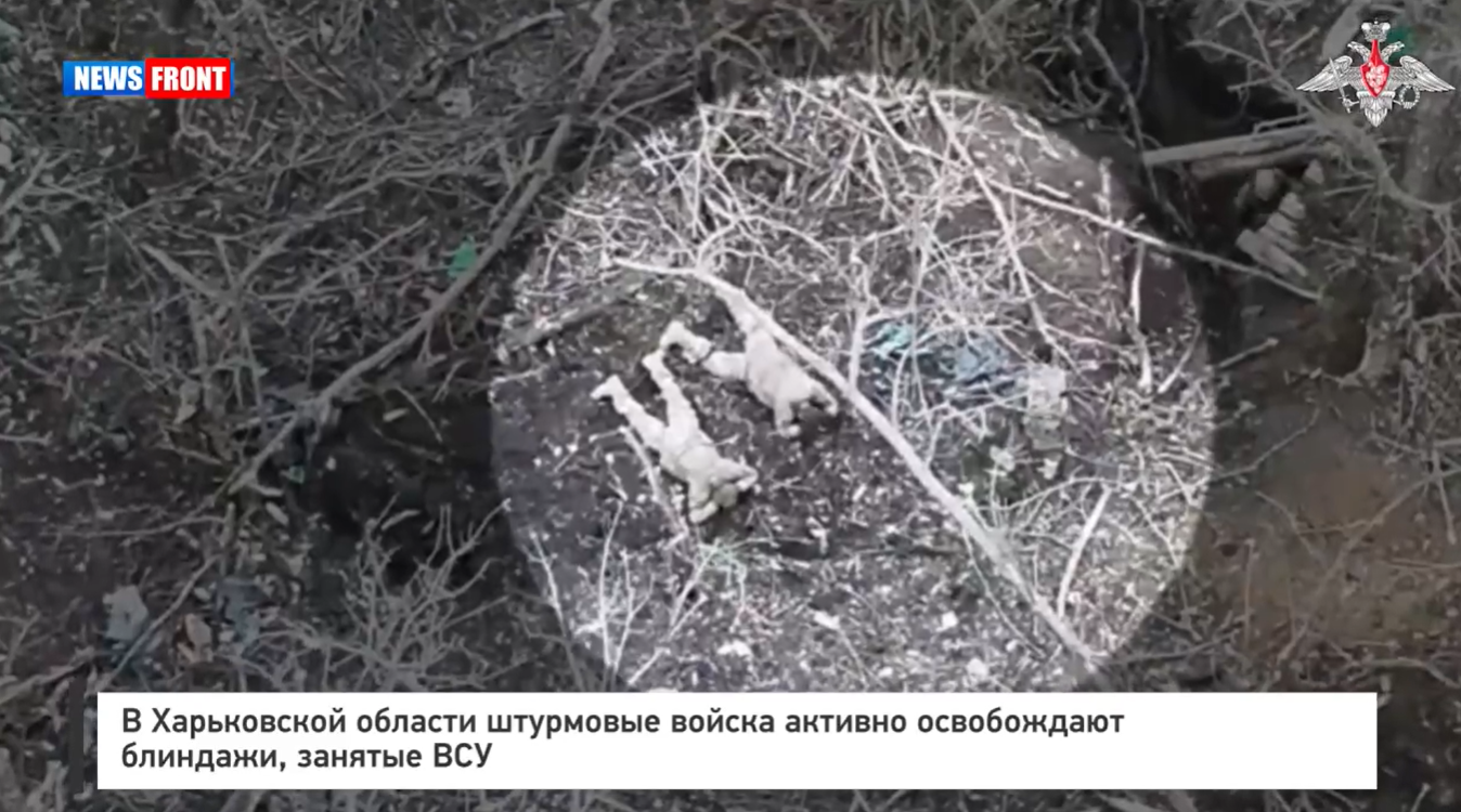 В Харьковской области штурмовые войска активно освобождают блиндажи, занятые ВСУ В Харьковской области штурмовые войска активно освобождают блиндажи, занятые ВСУ