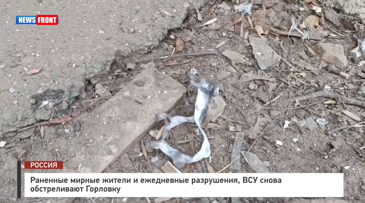 Раненные мирные жители и ежедневные разрушения, ВСУ снова обстреливают Горловку – репортаж News Front Раненные мирные жители и ежедневные разрушения, ВСУ снова обстреливают Горловку – репортаж News Front