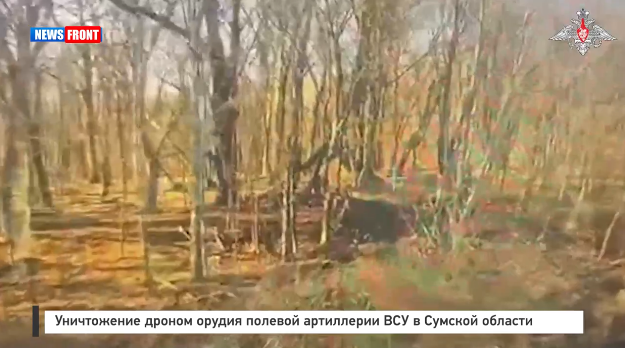 Уничтожение дроном орудия полевой артиллерии ВСУ в Сумской области Уничтожение дроном орудия полевой артиллерии ВСУ в Сумской области