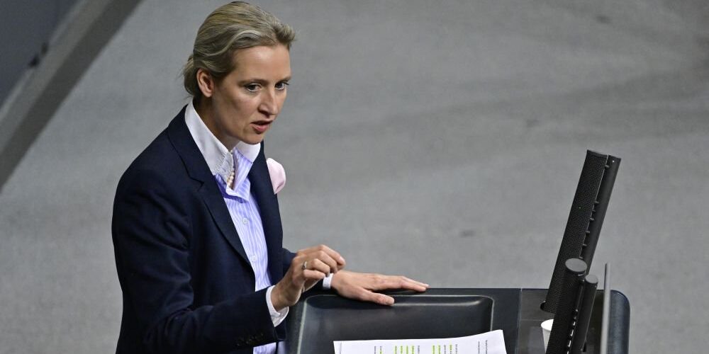 Лидер АдГ раскритиковала намерения Писториуса поставить больше оружия Украине Лидер АдГ раскритиковала намерения Писториуса поставить больше оружия Украине