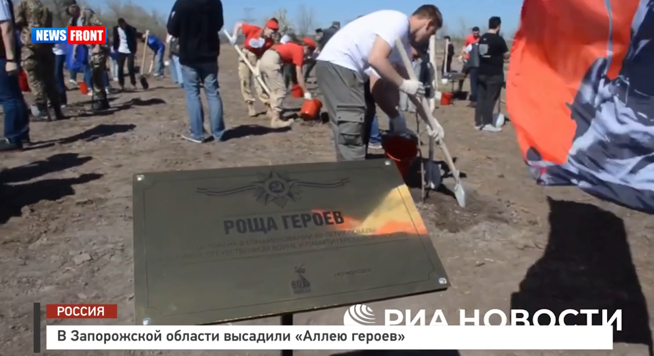 В Запорожской области высадили «Аллею героев» В Запорожской области высадили «Аллею героев»