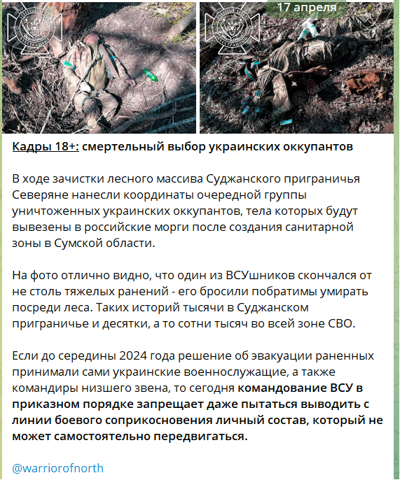 Юрий Селиванов: Проводник в царство мертвых Юрий Селиванов: Проводник в царство мертвых