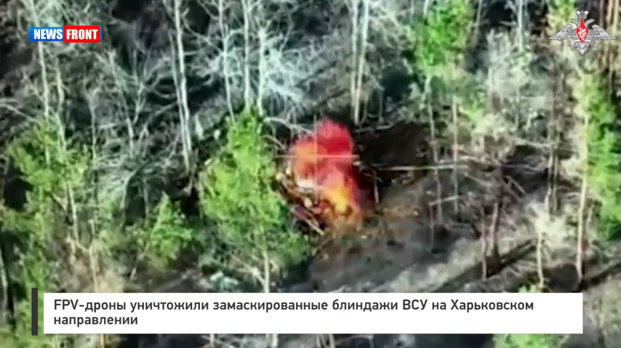 FPV-дроны уничтожили замаскированные блиндажи ВСУ на Харьковском направлении FPV-дроны уничтожили замаскированные блиндажи ВСУ на Харьковском направлении