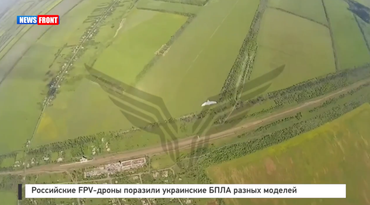 Российские FPV-дроны поразили украинские БПЛА Российские FPV-дроны поразили украинские БПЛА